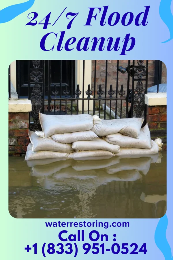 24/7 Flood Cleanup in Arden Hills, MN