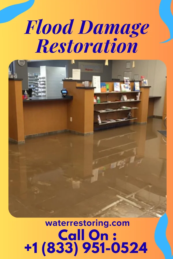 Flood Damage Restoration in Arden Hills, MN