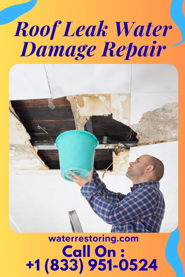 Roof Leak Water Damage Repair in Arden Hills, MN