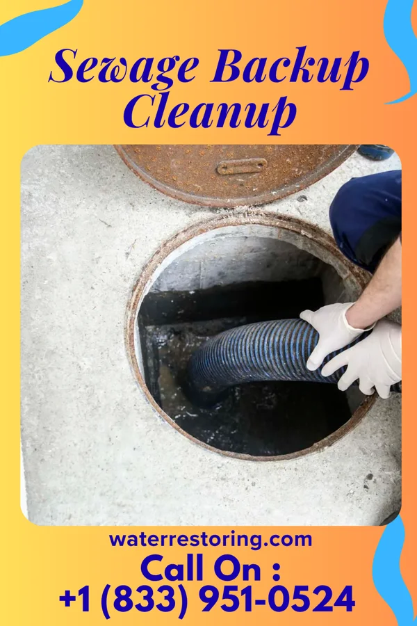 Sewage Backup Cleanup in Arden Hills, MN